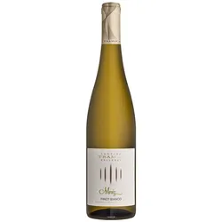 18er Set Cantina Tramin Weißburgunder Pinot Bianco Moriz 2023 - Versandkosten...