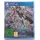 Star Ocean The Divine Force 1 PS4-Blu-Ray-Disc / Plaion Software / DVD-ROM