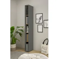 INOSIGN Aktenregal »CiTY/GiRON«, grau