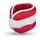Umbro Gewichtsmanschetten Grau/Rot 1000g