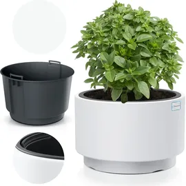 Prosperplast HEOS DLHEN470 46,5 x 46,5 x 29,5 cm Weiß