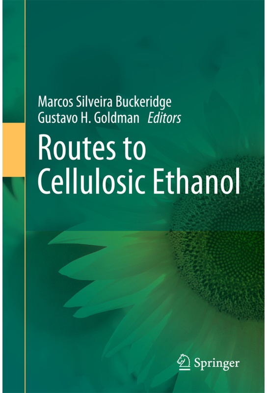 Routes To Cellulosic Ethanol  Kartoniert (TB)
