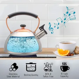 Briebe Nordic 2,3 l Grün