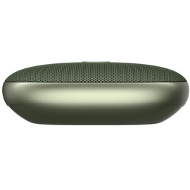 Fresh 'n Rebel Rockbox Bold XS dried green
