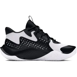 Under Armour Jet 23 Basketballschuhe 006 - 47.5