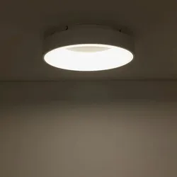 Licht-Erlebnisse Deckenlampe URGGAS LED 32W warmweiß lackierter Stahl Kunststoff | LE116867