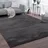 Paco Home Cadiz 630 Kurzflorteppich 300 x 400 cm anthrazit