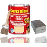 Consolan Wetterschutzfarbe 2,5 l Holzschutz Schleifen Pinsel Set (Nordisch-Gelb)