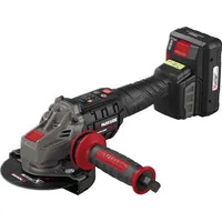 Parkside PERFORMANCE® 20 V Akku-Winkelschleifer »PWSAP 20-Li F6«, mit