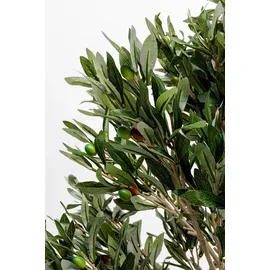 Kare Deko Pflanze Olive Tree 120cm",
