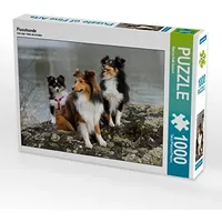 Calvendo Flusshunde Puzzle