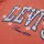 Levi's T-Shirt LEVI'S KIDS "LVG LEVIS CHAMBRAY APPLIQUE TO", Mädchen, Gr. 10 (140), orange (hot coral), Jersey, Obermaterial: 60% Baumwolle, 40% Polyester, bestickt, normal hüftbedeckend, Rundhals, Shirts T-Shirt, for Girls, mit Logo-Stickerei