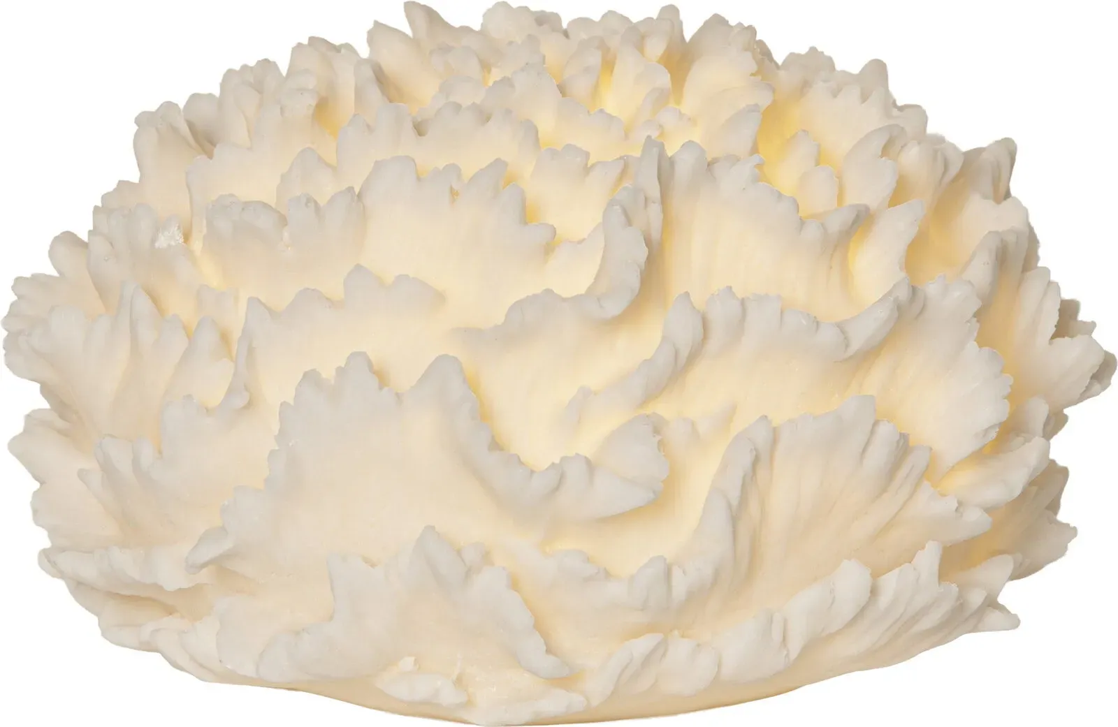 STAR TRADING LED-Dekoleuchte SANDY CORAL - B/H/T ca. 28.50x16.50x28.50