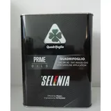 Selenia Quadrifoglio 70548GF5EU 5W-40 2,0 l