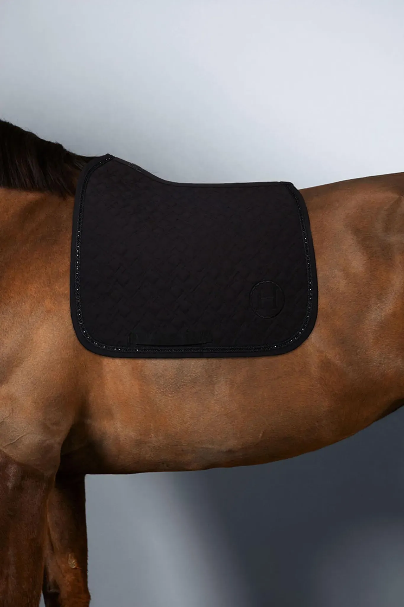 Harcour Saphir Dressurschabracke