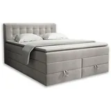Deine Möbel 24 Boxspringbett 160 x 200 cm H3 Beige/Grau