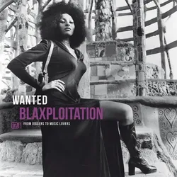 Wanted Blaxploitation (180g), Schallplatten