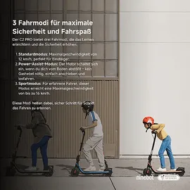 NINEBOT Segway-Ninebot F20 D E-Scooter (10 Zoll, Schwarz)