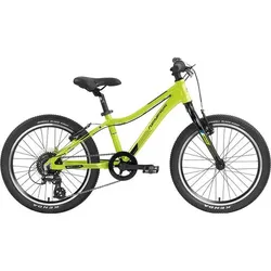 GENESIS Kinder Mountainbike Genesis Evolution JR20, HELLGRÜN, ONE SIZE