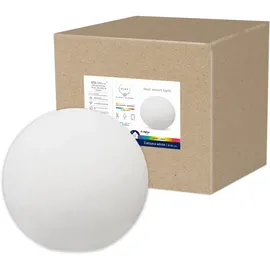 tint Calluna Smarte Outdoor LED Leuchtkugel Ø 50 cm
