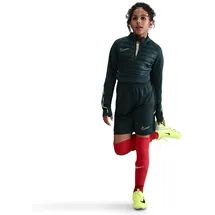 Nike Therma-Fit Academy FJ6181-390 L