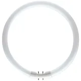 Philips Master TL5 Circular 22W/830 2GX13