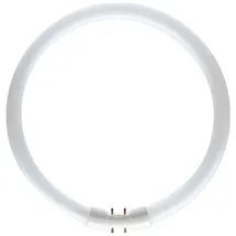 Philips Master TL5 Circular 22W/830 2GX13