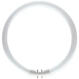 Philips Master TL5 Circular 22W/830 2GX13