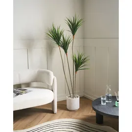 Beliani Kunstpflanze Dracaena Draco 165 cm) Grün