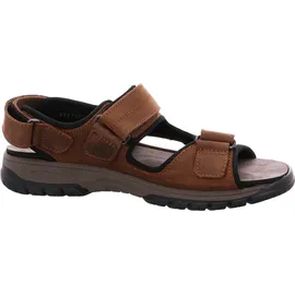 WALDLÄUFER Harald Herren Braun 44