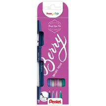 Pentel SES15B-4 Brush Sign Pen Berry Colors Set, Faserschreiber, pinselähnliche Spitze, 4 Stück, farblich sortiert, nachtblau, blauviolett, pinklila, türkis