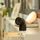 Philips Hue Secure Desktop-Kamera 1 St. Schwarz