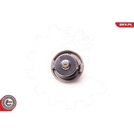 ESEN SKV Thermostat, Kühlmittel