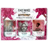 East Indies Gin Tasting Geschenkset – 3 Premium Gins aus Bali (3 x 0,2 l) – Pomelo, Archipelago & Spices Negroni – Handcrafted Gin Probier-Set in edler Geschenkbox – Exotisches Gin Geschenk