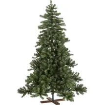 Star Trading Best Season Weihnachtsbaum Vidaby Grün, 210 Cm, Holzfuß