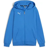 Puma teamGOAL Casuals Kapuzenjacke Jungen 02 ignite blue/white 152