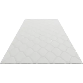 ADAMS GROUP Matratze 180x200 cm Prestige Sleep 7 Zonen H3 H4 Taschenfederkern Kokosmatte Höhe 23 cm