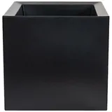 Wellhome Cubo Dan-i 50 x 50 x 50 cm Anthrazit
