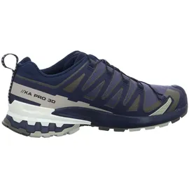 Salomon XA Pro 3D V9 GTX Herren India Ink/Olive Night/Aloe Wash 46