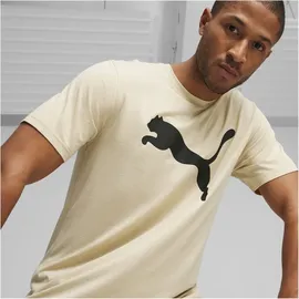 Puma Train FAV Heather CAT Tee Tee Tee