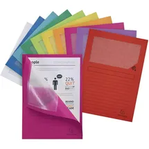 Exacompta Fenstermappe DIN A4 sortiert 10 St.
