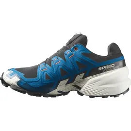 Salomon  Speedcross 6 Gore-Tex Herren Black/Black/Phantom 43 1/3