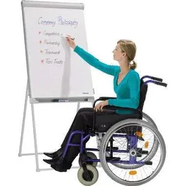 Franken Flipchart 67 x 95 cm Hellgrau