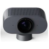 Lenovo Google Meet Series One Smart Camera - Videokonferenzkomponente - holzkohlefarben