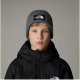 The North Face Kids TNF Box Logo Cuffed Beanie - Kinder, grey heather