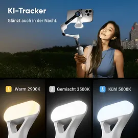 INSTA360 Flow 2 Pro AI Tracker Bundle Grau