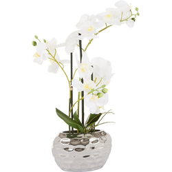 Kunstpflanze Orchidee Orchidee, Leonique, Höhe 55 cm, Kunstorchidee, im Topf weiß 20 cm x 55 cm x 11 cm