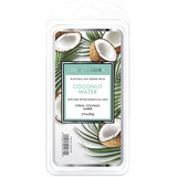 Colonial Candle Duftwachs für Dein Zuhause Coconut Water (77g) Der Sommerfrische Kokosnuss Duft für Deine Duftlampe Duftwachs-Melts mit je 4h Pro Block Sojawachsmischung 126429