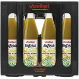 BioZisch Matcha Mango 0,5l