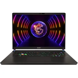 MSI Gaming Raider Intel® CoreTM i9 i9-13980HX Laptop cm (16") Quad HD+ GB DDR5-SDRAM TB SSD NVIDIA GeForce RTX 4080 Wi-Fi 6E (802.11ax) Windows 11 Home Schwarz